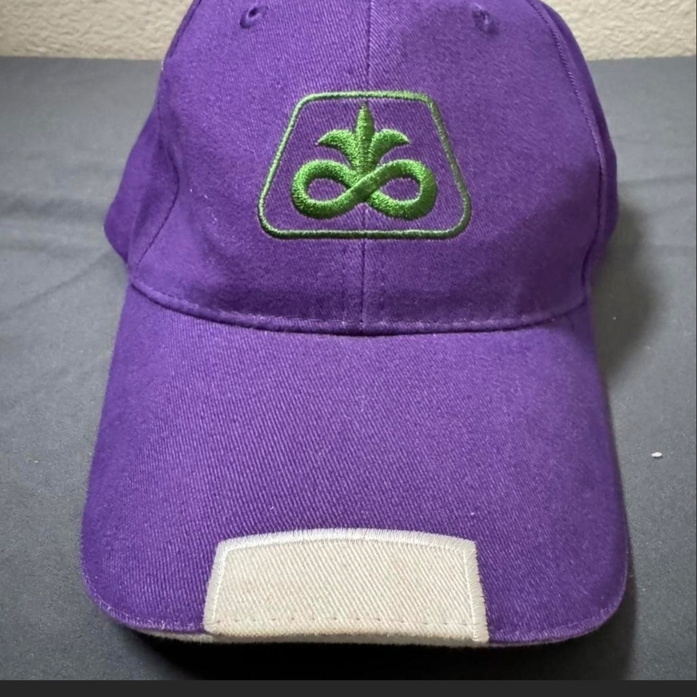 PIONEER Purple and Green Logo Cap